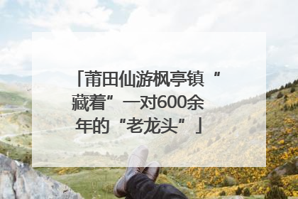 莆田仙游枫亭镇“藏着”一对600余年的“老龙头”