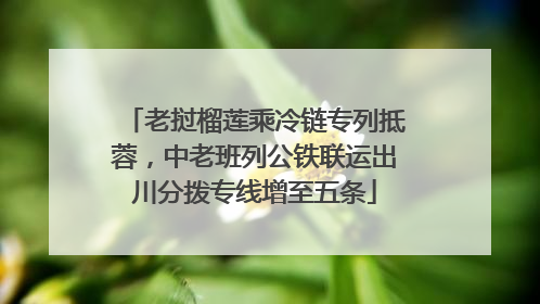 老挝榴莲乘冷链专列抵蓉，中老班列公铁联运出川分拨专线增至五条