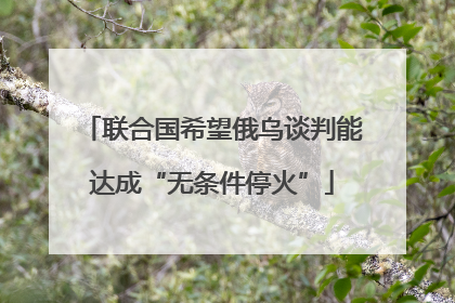 联合国希望俄乌谈判能达成“无条件停火”