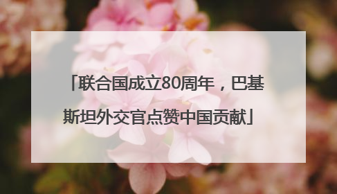 联合国成立80周年，巴基斯坦外交官点赞中国贡献