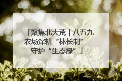 聚焦北大荒｜八五九农场深耕“林长制” 守护“生态绿”
