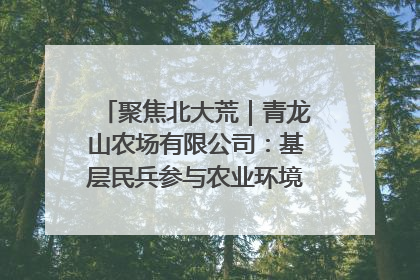 聚焦北大荒｜青龙山农场有限公司：基层民兵参与农业环境综合治理显效