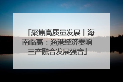 聚焦高质量发展丨海南临高：渔港经济奏响三产融合发展强音