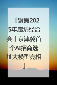 聚焦2025年廊坊经洽会丨京津冀首个AI招商选址大模型亮相