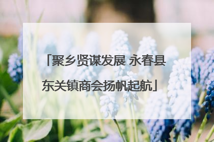聚乡贤谋发展 永春县东关镇商会扬帆起航