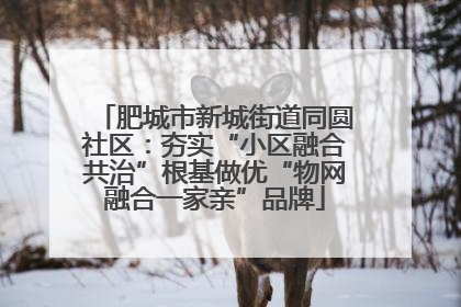 肥城市新城街道同圆社区：夯实“小区融合共治”根基做优“物网融合一家亲”品牌