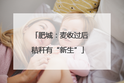 肥城：麦收过后秸秆有“新生”