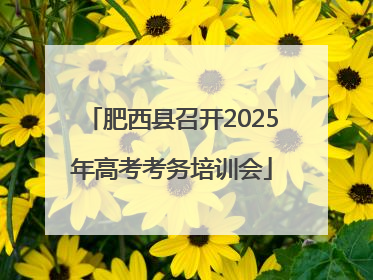 肥西县召开2025年高考考务培训会