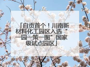 自贡首个！川南新材料化工园区入选“一园一策一图”国家级试点园区