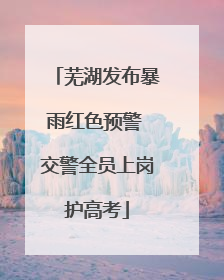 芜湖发布暴雨红色预警 交警全员上岗护高考