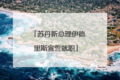 苏丹新总理伊德里斯宣誓就职