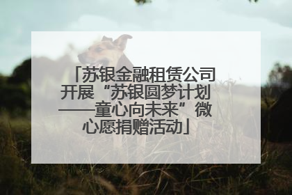 苏银金融租赁公司开展“苏银圆梦计划——童心向未来”微心愿捐赠活动