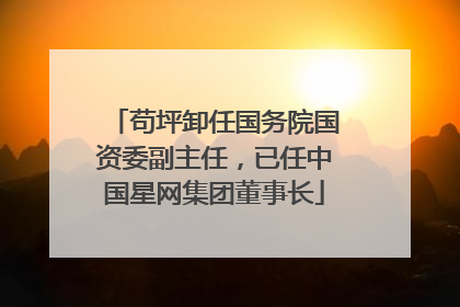 苟坪卸任国务院国资委副主任，已任中国星网集团董事长