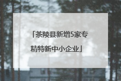 茶陵县新增5家专精特新中小企业