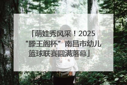 萌娃秀风采！2025“滕王阁杯”南昌市幼儿篮球联赛圆满落幕