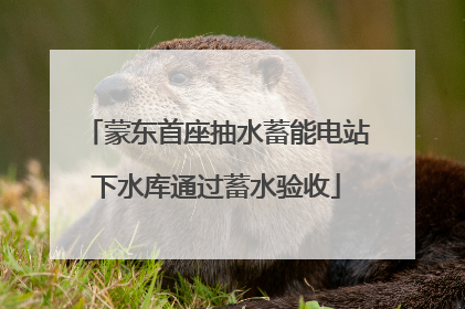 蒙东首座抽水蓄能电站下水库通过蓄水验收