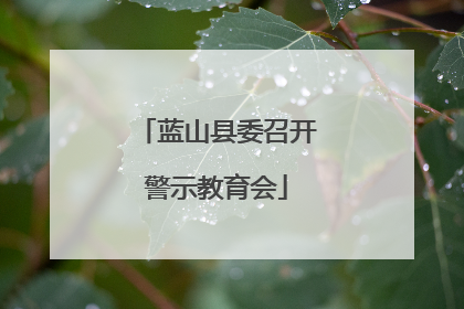 蓝山县委召开警示教育会