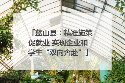 蓝山县：精准施策促就业 实现企业和学生“双向奔赴”
