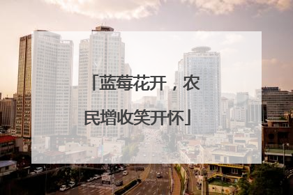 蓝莓花开，农民增收笑开怀