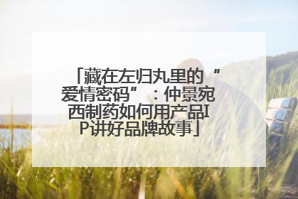 藏在左归丸里的“爱情密码”：仲景宛西制药如何用产品IP讲好品牌故事