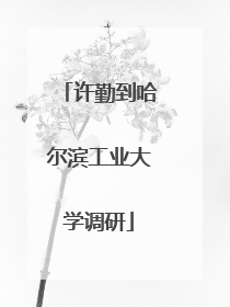 许勤到哈尔滨工业大学调研