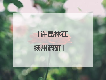 许昆林在扬州调研