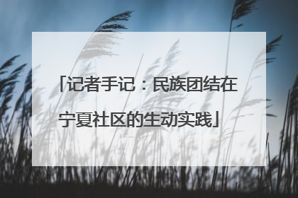 记者手记：民族团结在宁夏社区的生动实践