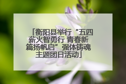 衡阳县举行“五四薪火智勇行 青春新篇扬帆启”强体铸魂主题团日活动