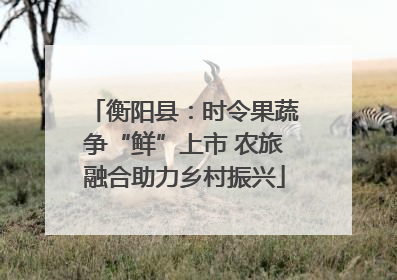 衡阳县：时令果蔬争“鲜”上市 农旅融合助力乡村振兴