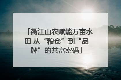 衢江山农赋能万亩水田 从“粮仓”到“品牌”的共富密码