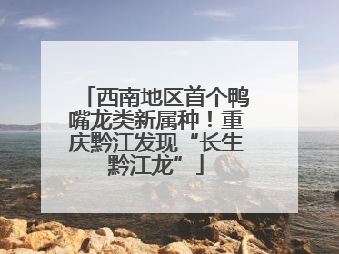 西南地区首个鸭嘴龙类新属种！重庆黔江发现“长生黔江龙”