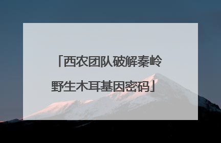 西农团队破解秦岭野生木耳基因密码