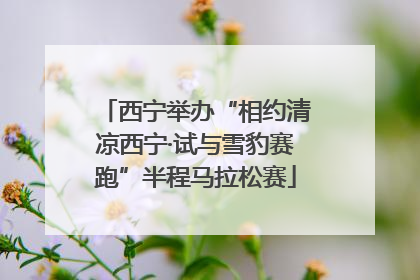 西宁举办“相约清凉西宁·试与雪豹赛跑”半程马拉松赛