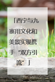 西宁与九寨用文化和美景实现携手“双方引流”