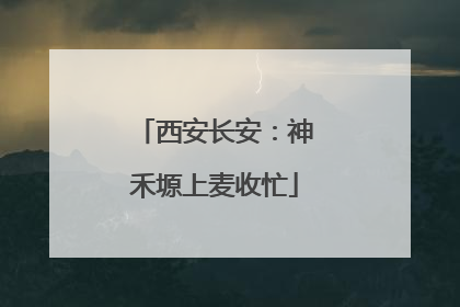 西安长安：神禾塬上麦收忙