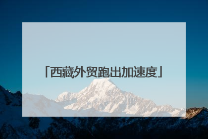 西藏外贸跑出加速度