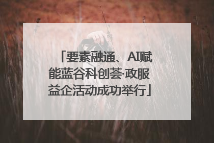 要素融通、AI赋能蓝谷科创荟·政服益企活动成功举行