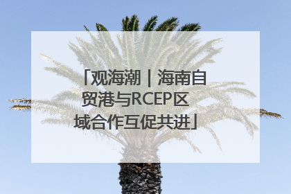 观海潮｜海南自贸港与RCEP区域合作互促共进