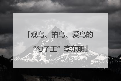 观鸟、拍鸟、爱鸟的“勺子王”李东明