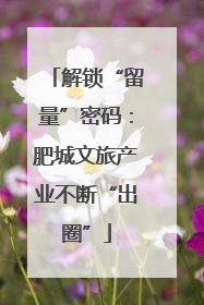 解锁“留量”密码：肥城文旅产业不断“出圈”