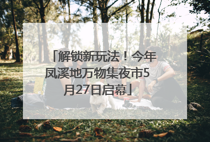 解锁新玩法！今年凤溪地万物集夜市5月27日启幕