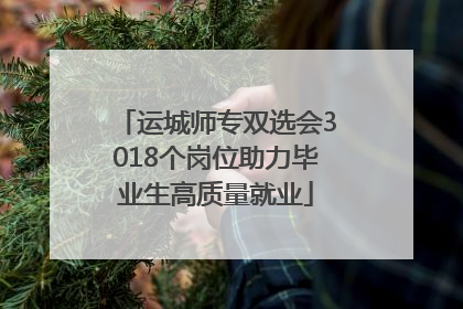 运城师专双选会3018个岗位助力毕业生高质量就业