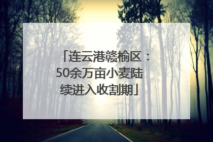 连云港赣榆区：50余万亩小麦陆续进入收割期