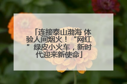 连接泰山渤海 体验人间烟火！“网红”绿皮小火车，新时代迎来新使命