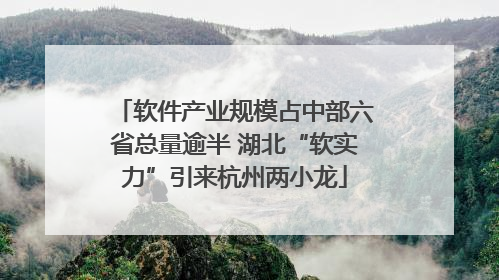 软件产业规模占中部六省总量逾半 湖北“软实力”引来杭州两小龙
