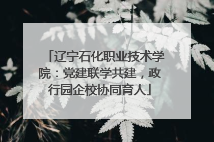 辽宁石化职业技术学院：党建联学共建，政行园企校协同育人