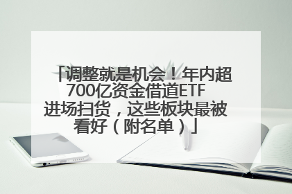 调整就是机会！年内超700亿资金借道ETF进场扫货，这些板块最被看好（附名单）