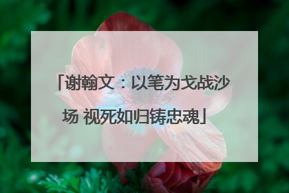 谢翰文：以笔为戈战沙场 视死如归铸忠魂