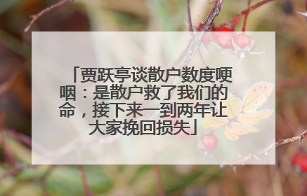 贾跃亭谈散户数度哽咽：是散户救了我们的命，接下来一到两年让大家挽回损失