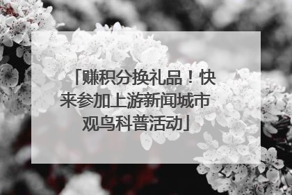 赚积分换礼品！快来参加上游新闻城市观鸟科普活动